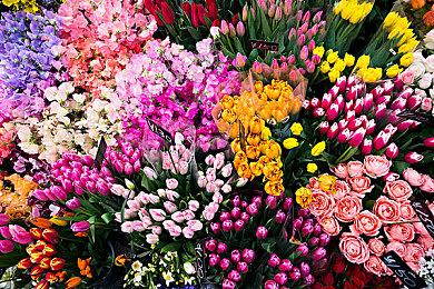 剧情互动冒险游戏《街头足球》预告片放出 预计于2025年推出