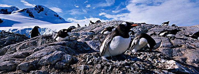 肉鸽RPG《污痕圣杯》Steam现已加入官方中文